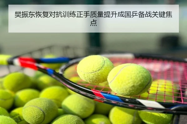 樊振东恢复对抗训练正手质量提升成国乒备战关键焦点